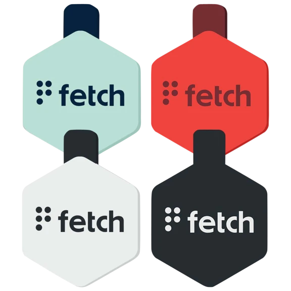 Lifekey Fetch Smart ID Dog Tag