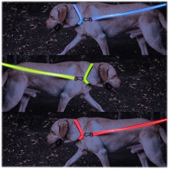 4ID LED Leash and Collar Combo