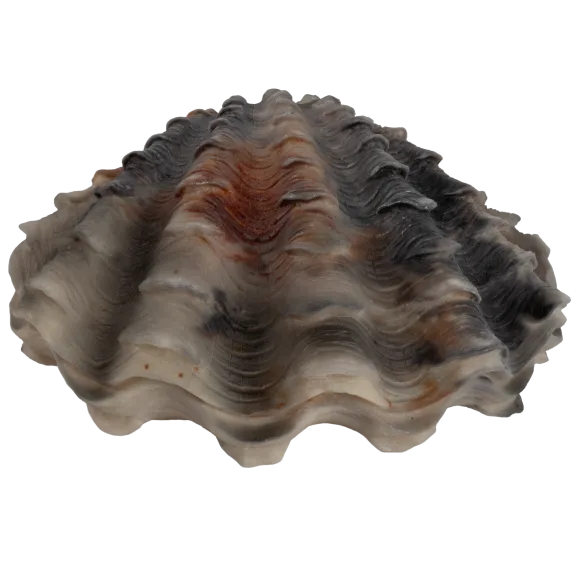 Barbara King Indoor/Outdoor Illuminated Sandstone Clam Shell Sculpture