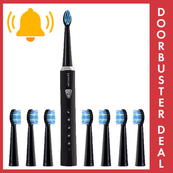 Phylian H7 Sonic Electric Toothbrush with 8 Brush Heads