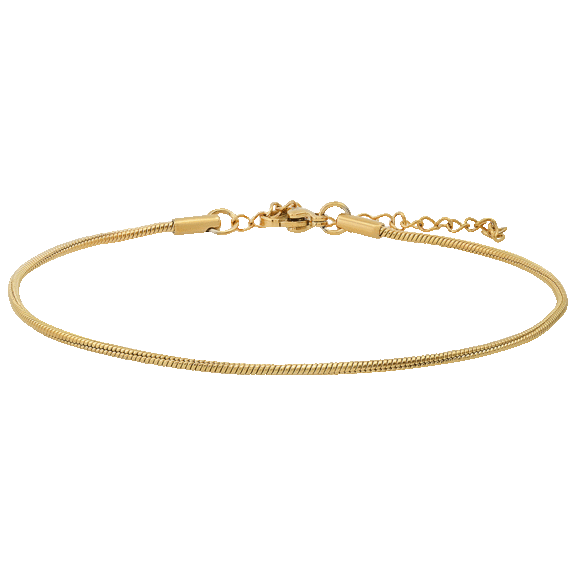 SteelTime Stainless Steel Figaro or Snake Chain Anklet
