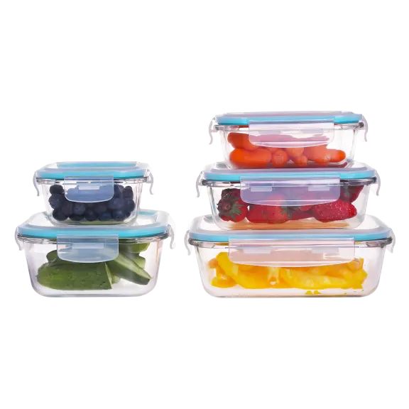 Genicook 10-Piece Glass Food Storage Set