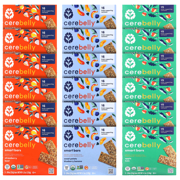 90-Pack: Cerebelly Organic Smart Snack Bars