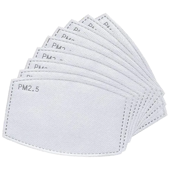 10 Pack: 2.5 PM Activated Carbon Activated Replaceable Filters
