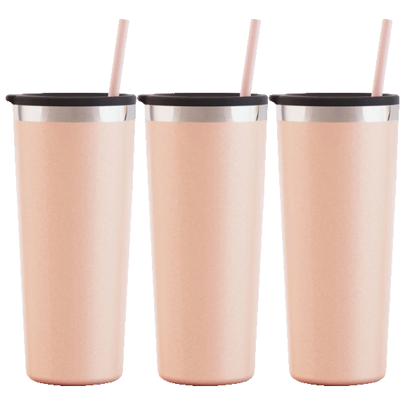3-Pack: Maars Roadie 22oz Stainless Steel Double Wall Tumblers