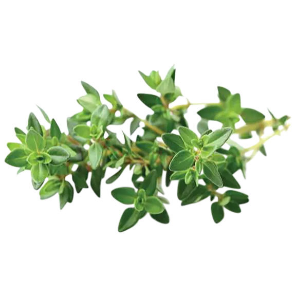 Click and Grow Thyme Plant Pods