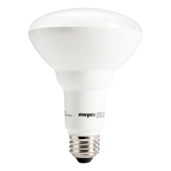 6-Pack: Energetic Lighting BR30 9.5W Long Life LED Bulbs (Daylight)