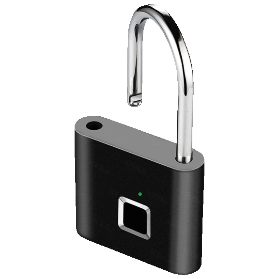 3Pexperts FingerLoc Fingerprint Padlock