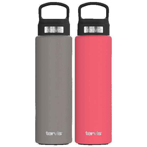 2-Pack: Tervis 24oz Triple Insulated Stainless Steel Tumblers