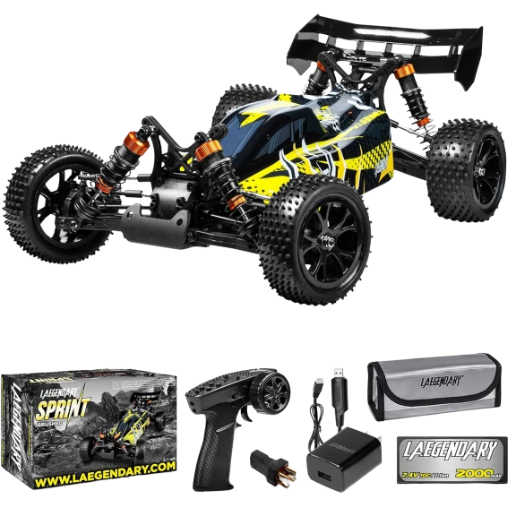 The Large-Scale High-Speed Off-Road Buggy