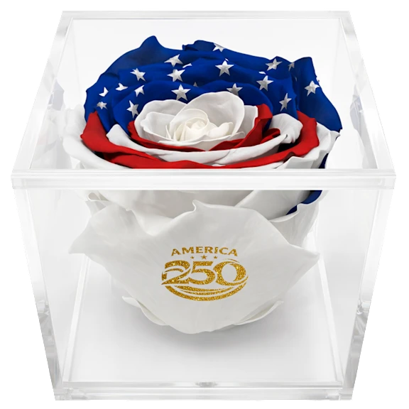 The Deluxe Stars & Stripes Preserved Rose