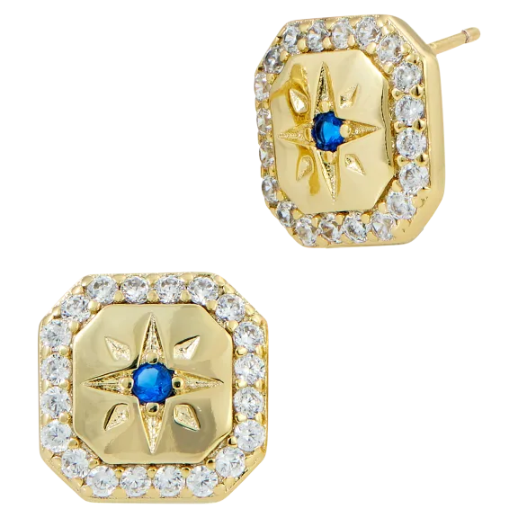 Savvy Cie Starburst Halo Stud Earrings