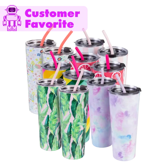 2-Pack: Cambridge 24 oz Insulated Tumblers with Straw