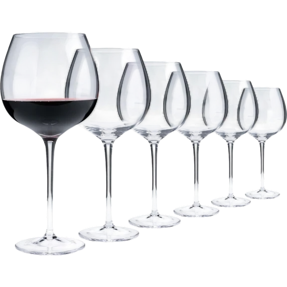 6-Pack: Aspen & Birch Wine Glasses
