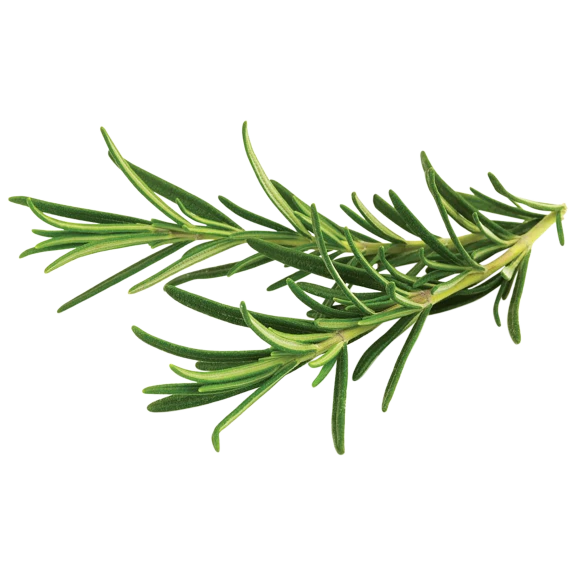 Click and Grow Rosemary Plant Pods