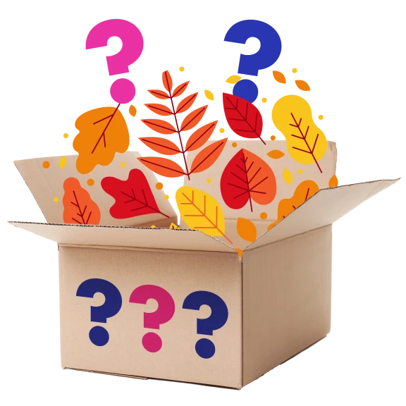 6-Piece: Fall Mystery Bundle