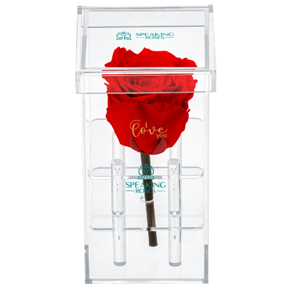 The Crystal-Encased Preserved Rose