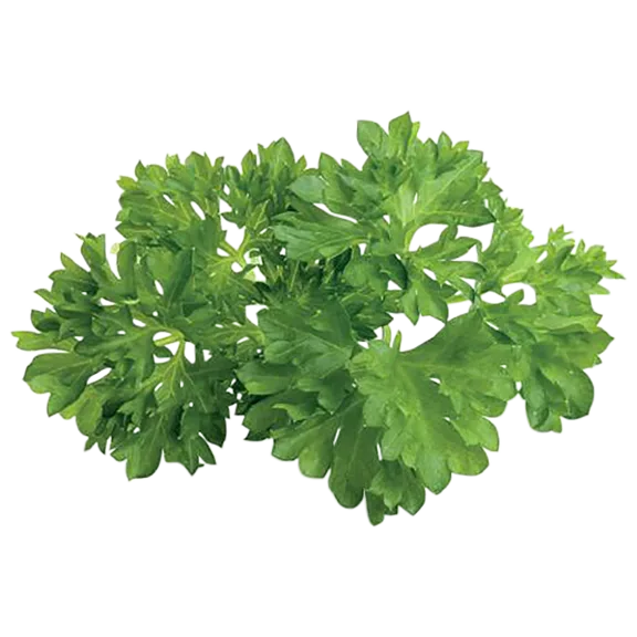 Click and Grow Parsley Plant Pods