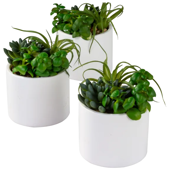 3-Pack: Décor Faux Succulents 5" White Vases