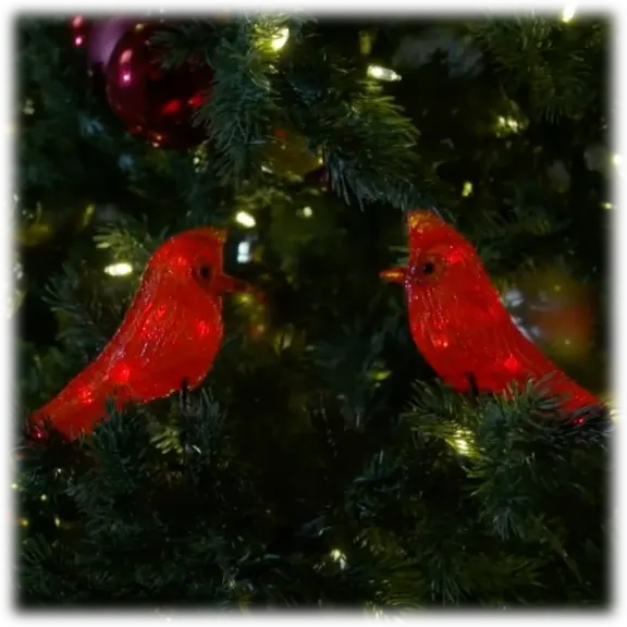2-Pack: Winter Lane Cardinal Clips with Lights