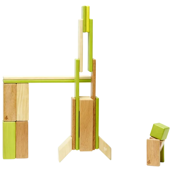 Tegu Jungle Collection 24-Piece Magnetic Block Set