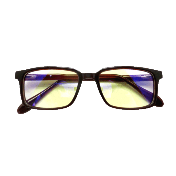 Go Vision E-Reader Anti Glare/Anti Blue Light Protection Glasses