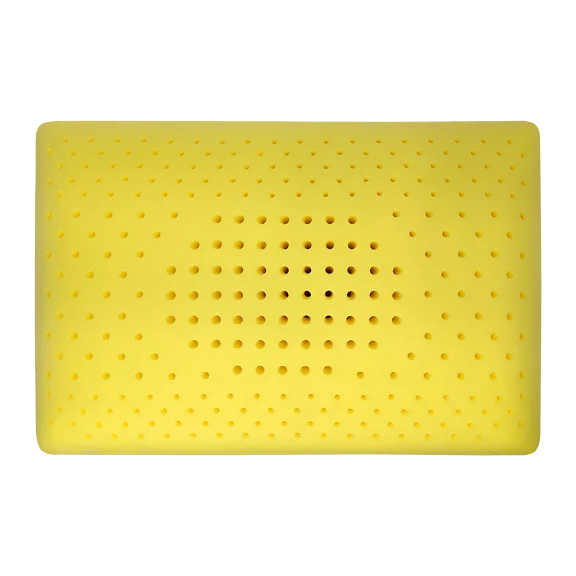 INFUSE Chamomille-Infused Aromatherapy Memory Foam Pillow