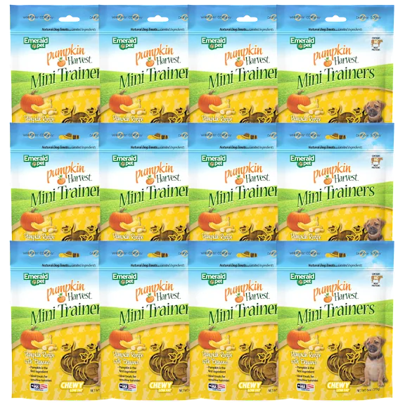 12-Pack: Emerald Pumpkin Harvest Mini Trainers