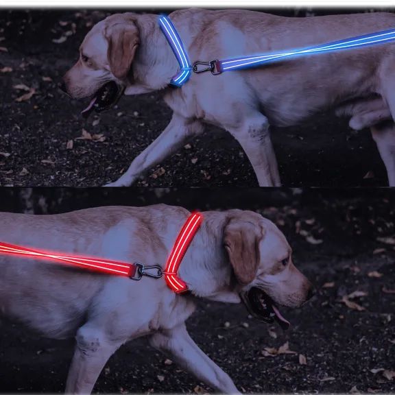 4ID Rechargeable LED Dog Leash and Collar
