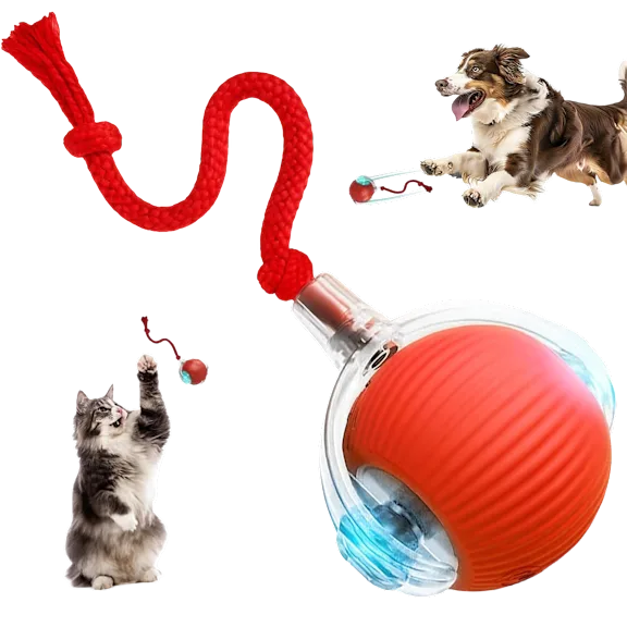 The Smart Pet Ball