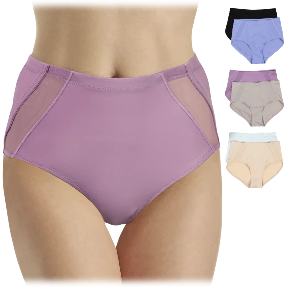 2-Pack: Rhonda Shear Mesh Detail Brief