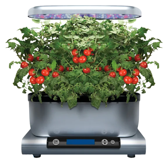 AeroGarden Harvest Premium with 6-Pod Gourmet Herbs, Platinum