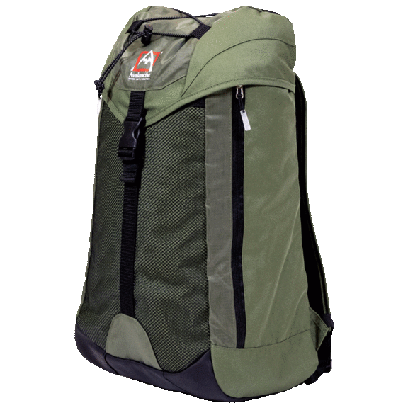 Avalanche Jenks Tonal Top Loader Backpack