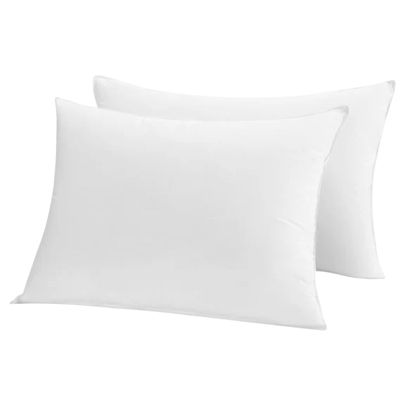 2-Pack: Park Hotel Luxury White Down & Down Alternative Blend Pillow (Queen)