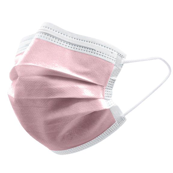 50-Pack: Individually Wrapped Disposable 3-Ply Face Masks