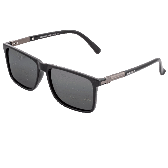 Breed Caelum Polarized Sunglasses