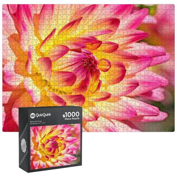 Quiz Quirk Bluhende Rectangle 1000 Piece Puzzle
