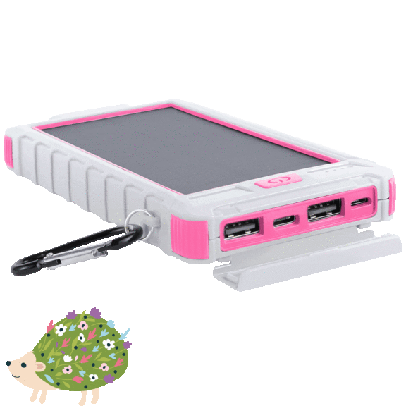 PowerUp Solar 10,000mAh Dual USB Backup Battery