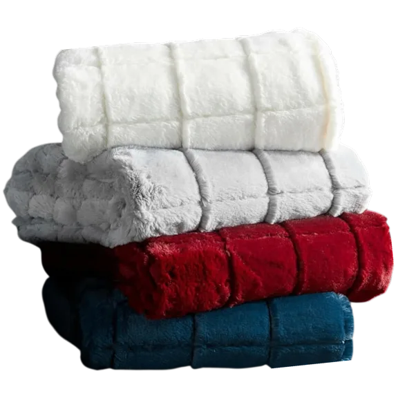 Chic Home Ultra Plush Throw Blanket with Micromink Backing