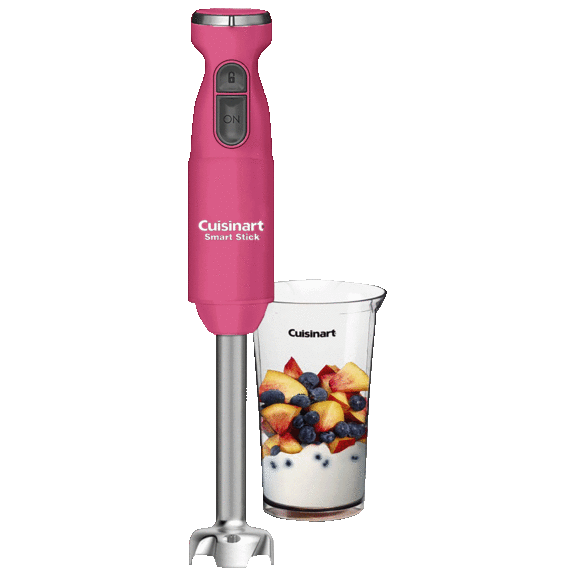 Cuisinart Smart Stick 2-Speed Hand Blender