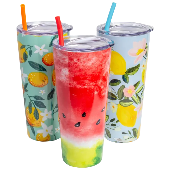2-Pack: Cambridge 32 oz Insulated Tumblers with Straw