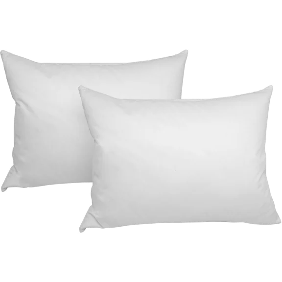 2-Pack: iEnjoy Home Down Pillows (King)