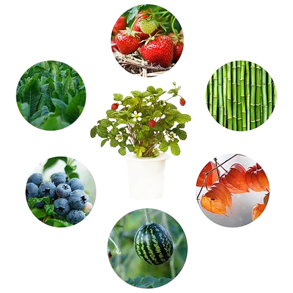 Click and Grow Experimental Plant Pods