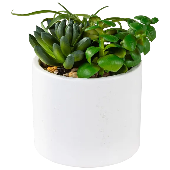 Décor Faux Succulents 5" White Vases