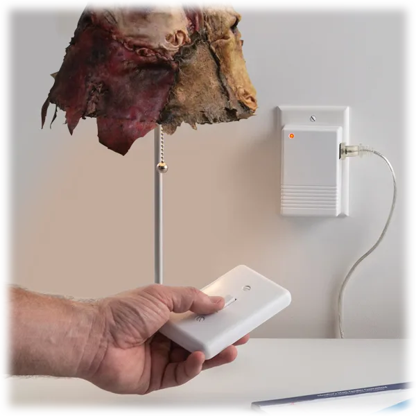 Utilitech Wall Mountable Remote Light Switch