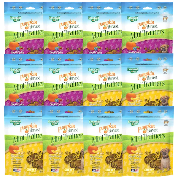12-Pack: Emerald Pumpkin Harvest Mini Trainers