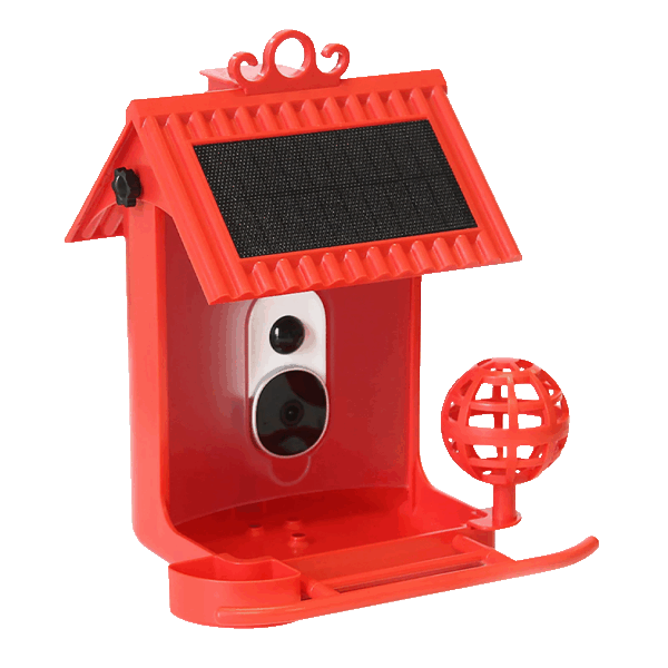 Hello Birdie Solar Roof Smart Bird Feeder and Accessories