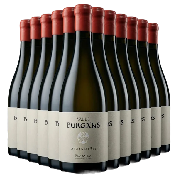 Val De Burgans Albariño