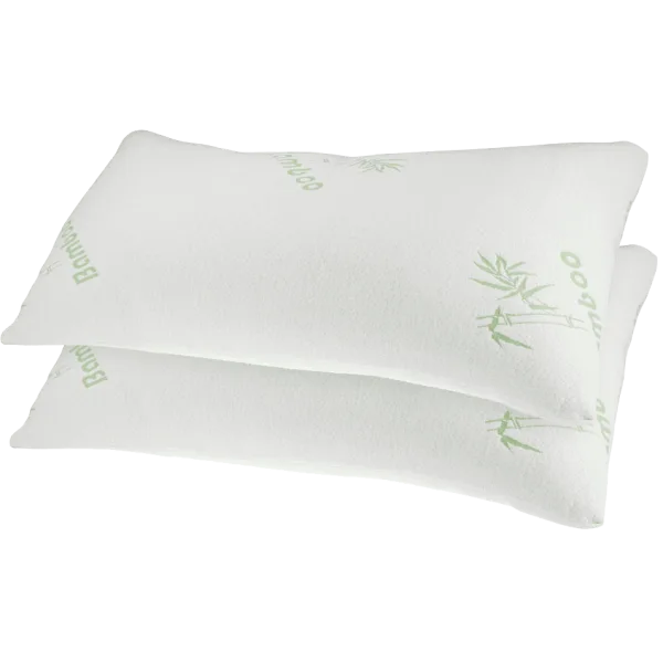 2-for-Tuesday: Bamboo Pillows