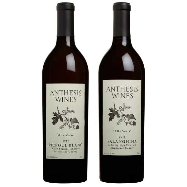 Anthesis Orange Wine